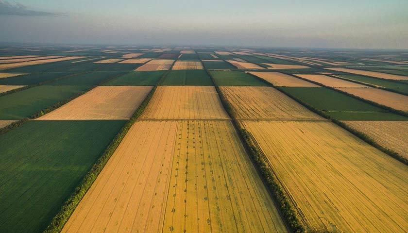 Через запровадження нової нормативної грошової оцінки земель місцеві бюджети можуть втратити понад 2 млрд грн 