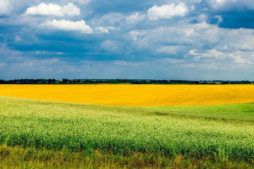 Мораторій на землю служить тим, хто зацікавлений у непрозорому ринку, – Порошенко 