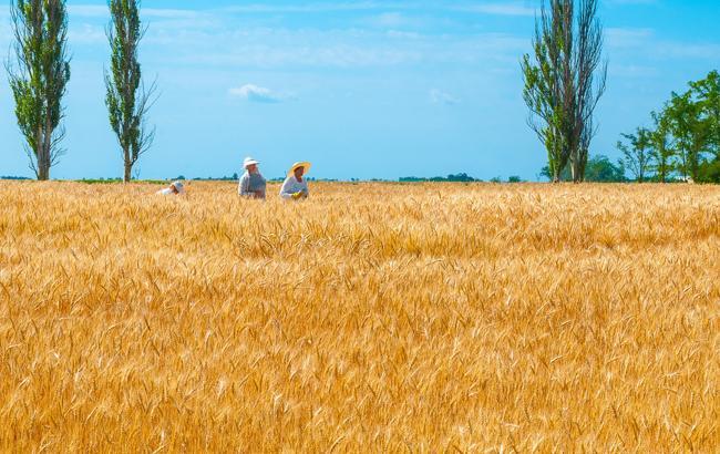 П’яту частину аграрного бюджету України передбачено для малих виробників