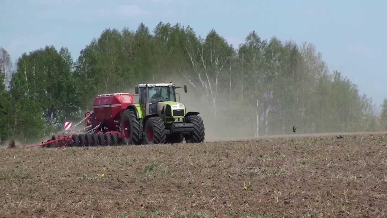  Озимими зерновими засіяно 840 тис. га площі