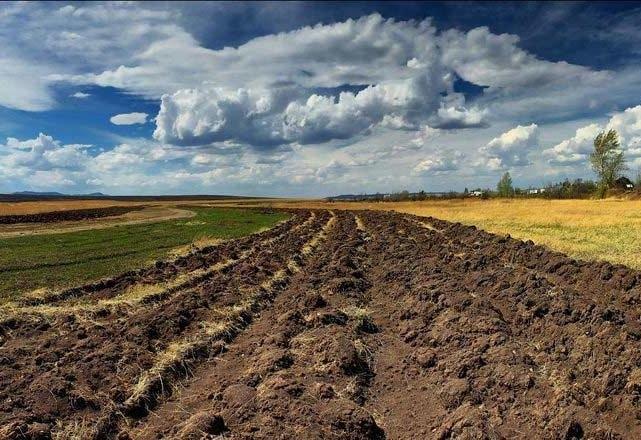 Світовий банк прокоментував питання відкриття ринку землі для іноземців