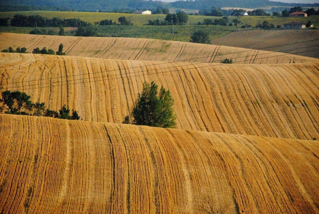 У Держгеокадастрі пояснили, скільки діятиме мораторій на продаж землі