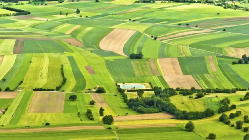 Ринок землі: яка вартість ділянок у регіонах