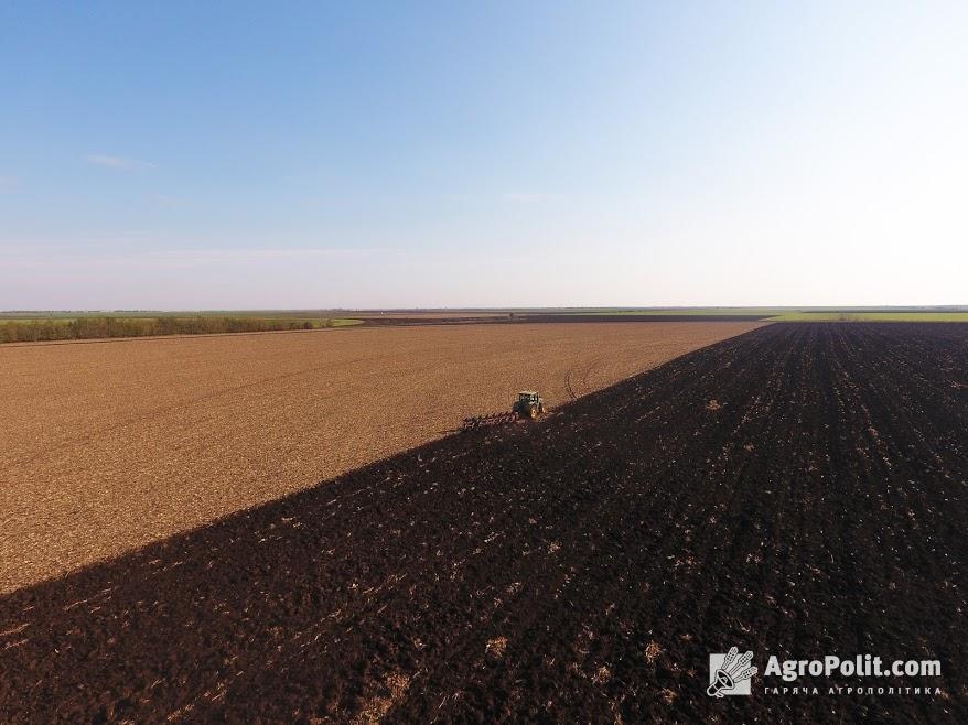 Названо стартову ціну 1 га землі після старту земельної реформи