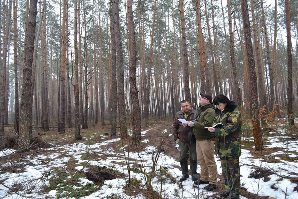 Кабмін може переглянути оподаткування лісогосподарських підприємств, — Гончарук