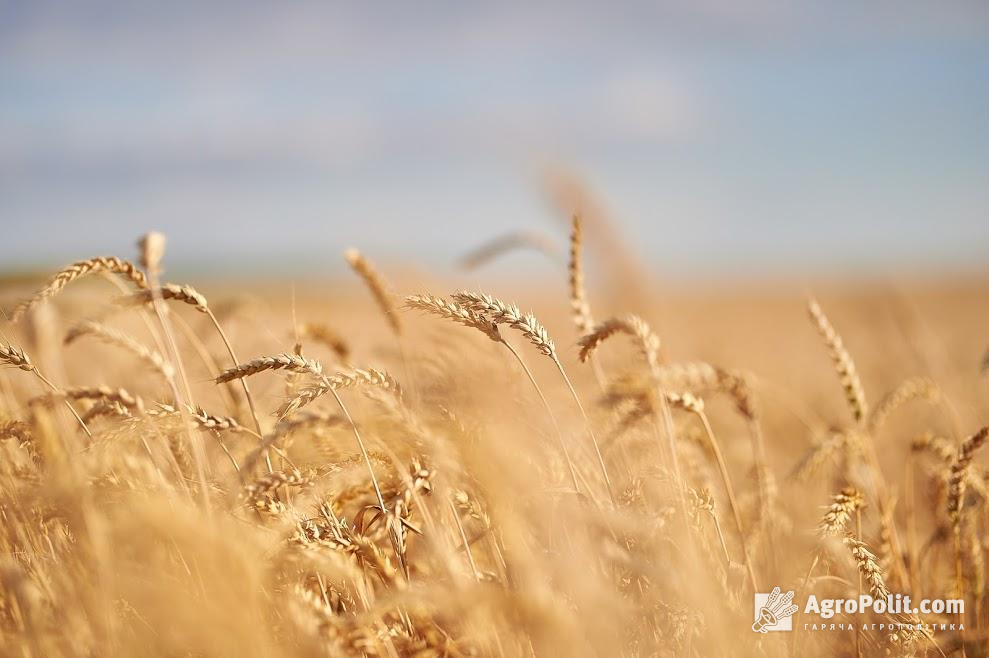 У Раді зареєстрували законопроєкт щодо детінізації виробництва сільськогосподарської продукції