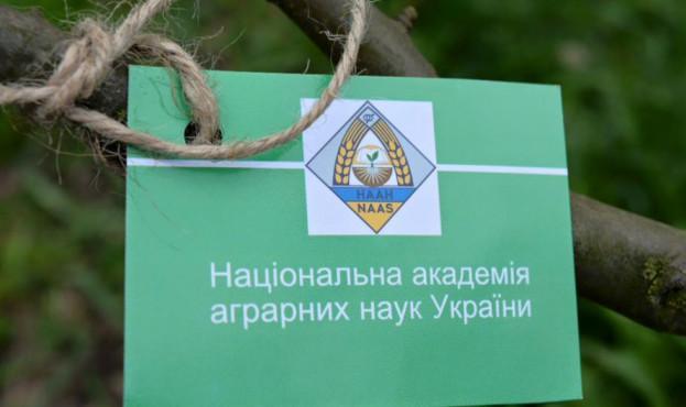 Нардеп повідомив про «розбазарювання» 500 млн грн, наданих з держбюджету НААН