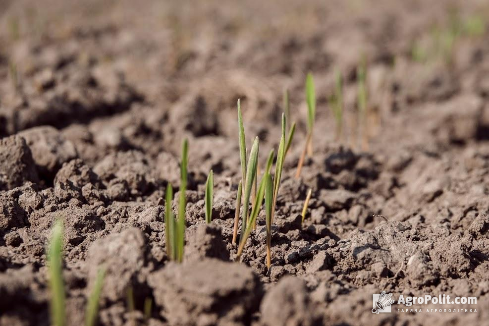 Втратив чинність наказ щодо видачі дозволів на зняття та перенесення ґрунтового покриву земельних ділянок