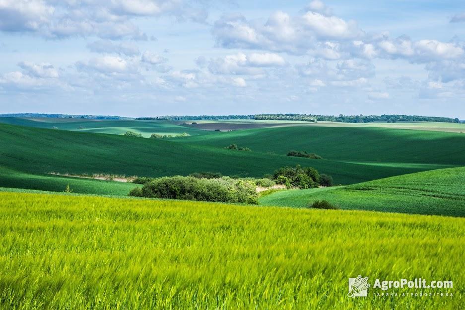 Верховна Рада прийняла законопроєкт про планування земель