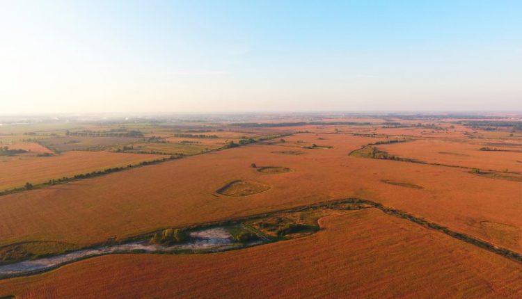 За допомогою супутника визначено площу посівів в ОРДЛО та Криму