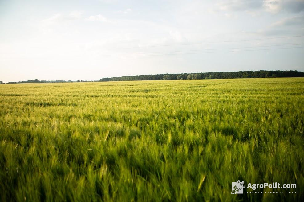 В Україні ініціюють створення парламентської спецкомісії з розгляду земельних питань