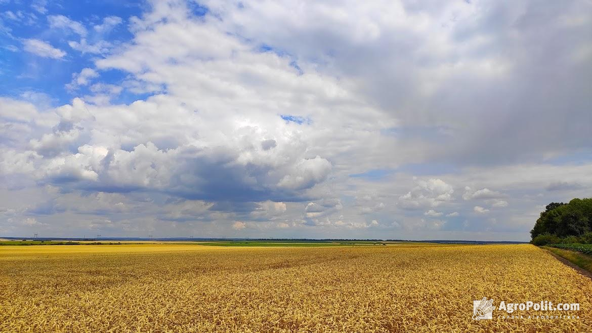 В Україні ініціюють запровадження електронної подачі документації у Фонд документації землеустрою