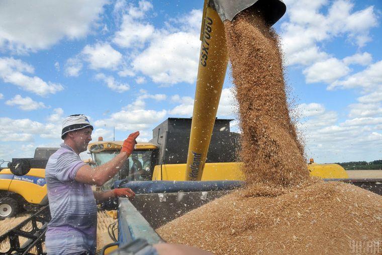 Українському агросектору не вистачає кваліфікованої робочої сили