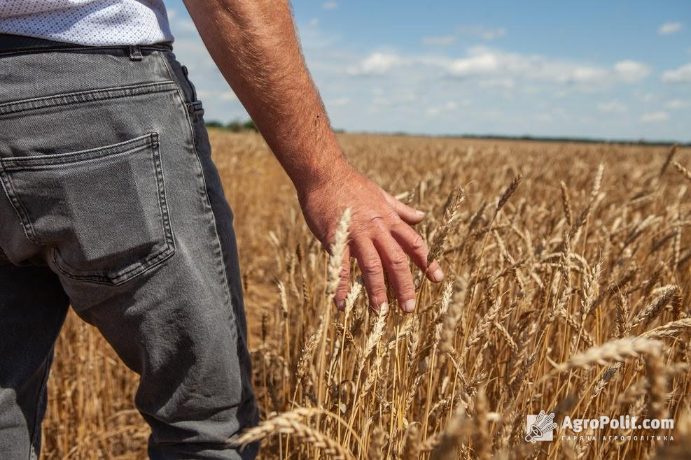 Члени особистого селянського господарства зможуть зареєструватися безробітними — новий законопроєкт