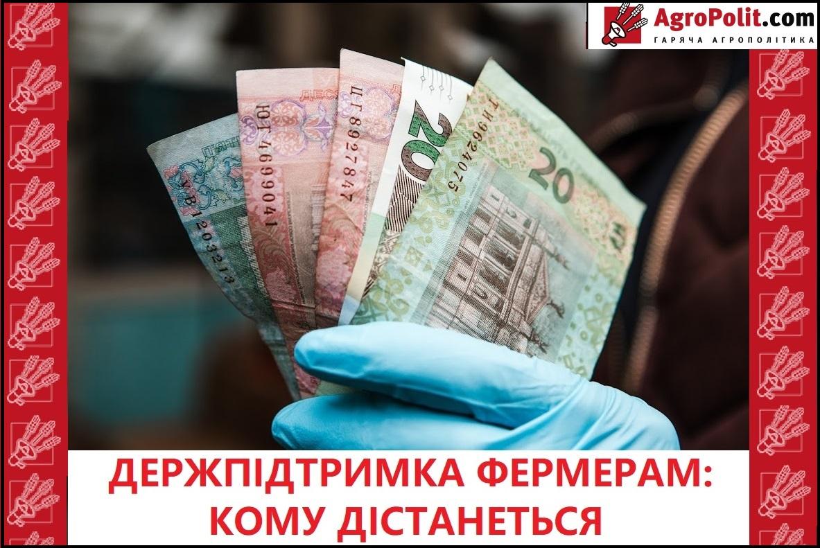 У Мінфіні повідомили, скільки аграріїв зможуть скористатися програмами держпідтримки у 2021-му