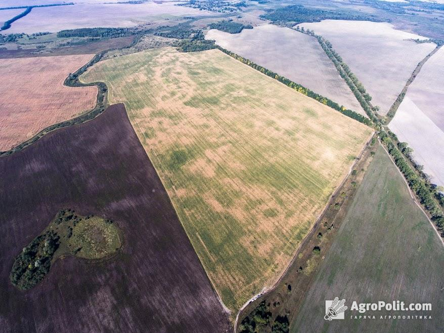 Озвучено наслідки запровадження мінімального податку на 1 га землі