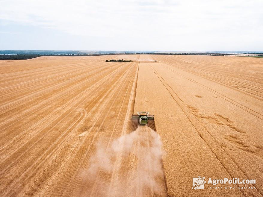 Названо область, яка була найбільш продуктивною в агросекторі у 2020 році