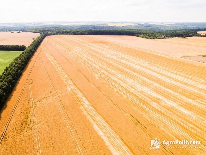 Закон про аграрний реєстр 3295 передбачає держпідтрмику органічним виробникам 