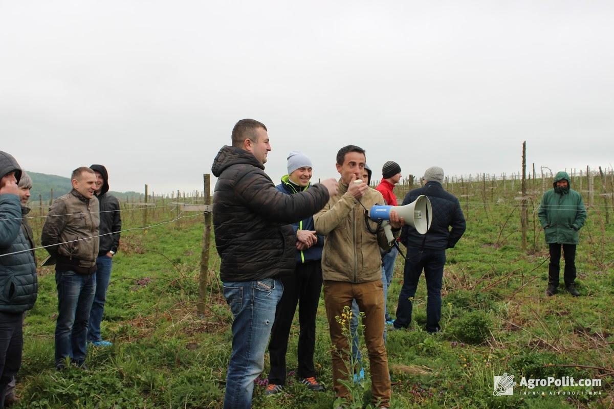 Названо нардепів аграрного комітету, які не голосували за законопроект про сільськогосподарську кооперацію