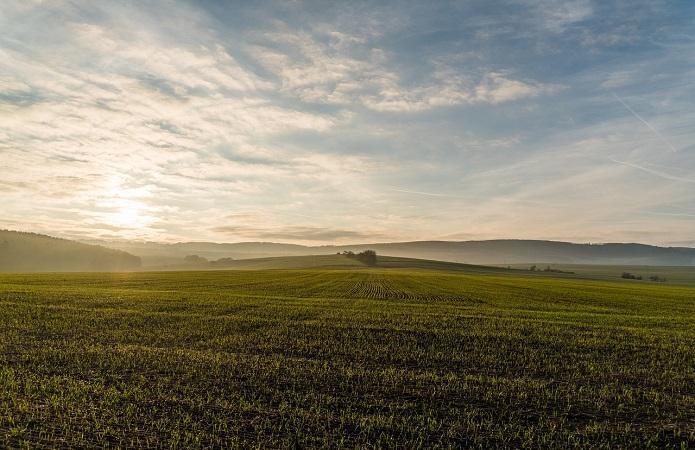 В Україні 2 млн земельних ділянок залишаються не внесеними у кадастр