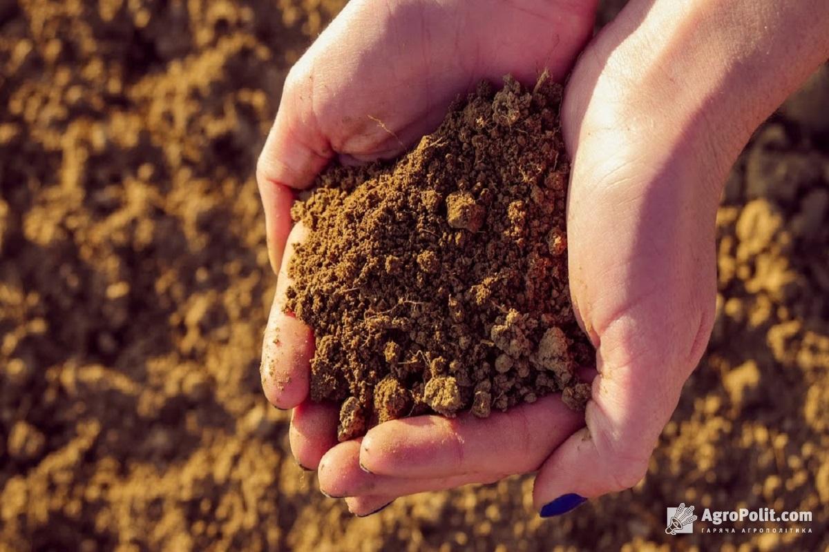 Після відкриття ринку землі очікується активний продаж паїв на рівні 5-7 % від загальної кількості