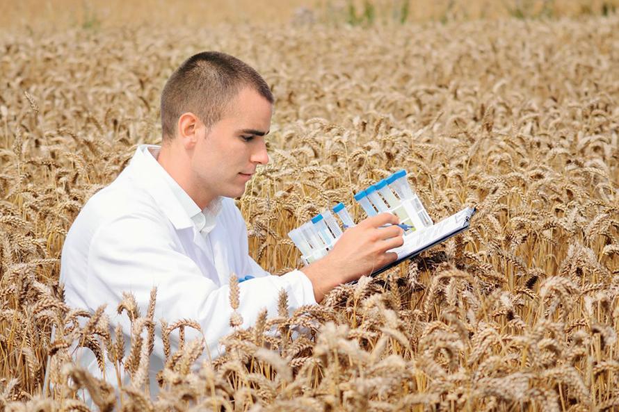 Для аграріїв-підприємців започаткували освітній курс Grow Up Agro для розвитку бізнесу 