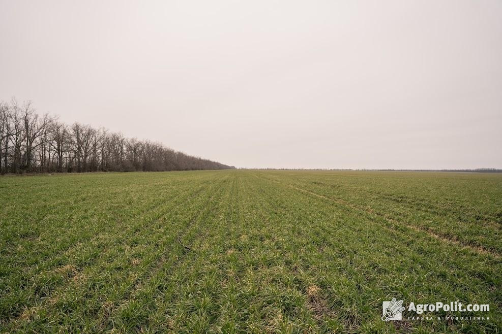 Названо порядок примусового відчуження земельних ділянок з мотивів суспільної необхідності