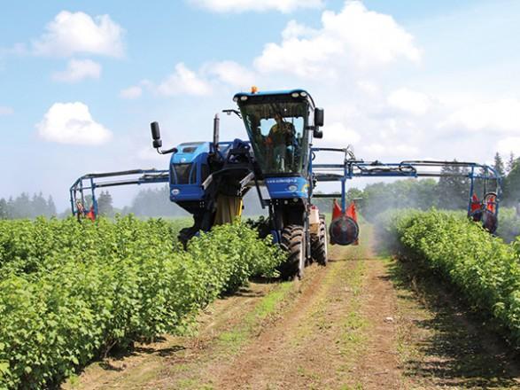 Реєструвати агробізнес в Україні стали значно частіше