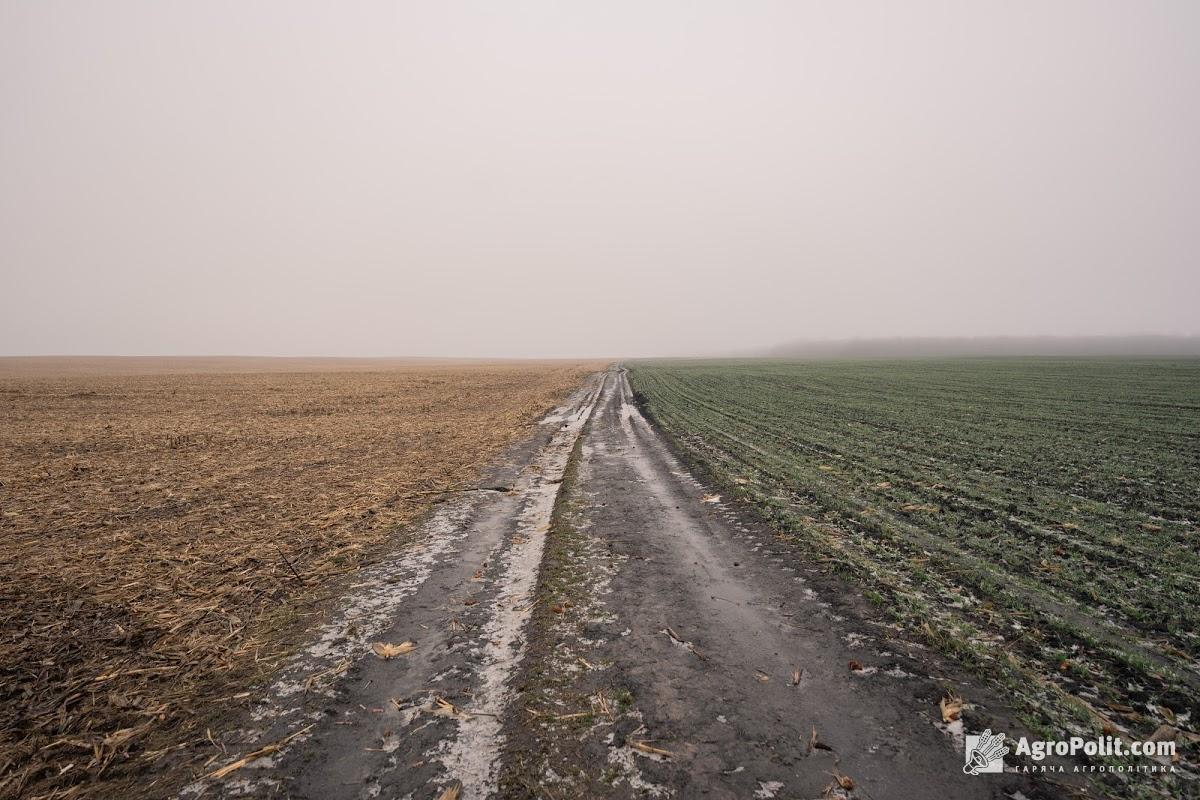 Держгеокадастр спростив вирішення межовиї спорів