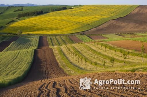 У Мінагро розповіли, що буде зроблено у перше півріччя після відкриття ринку землі