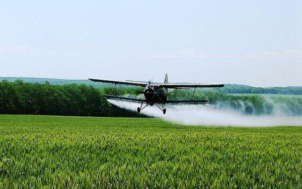 На Миколаївщині розбився вертоліт під час сільськогосподарських робіт 