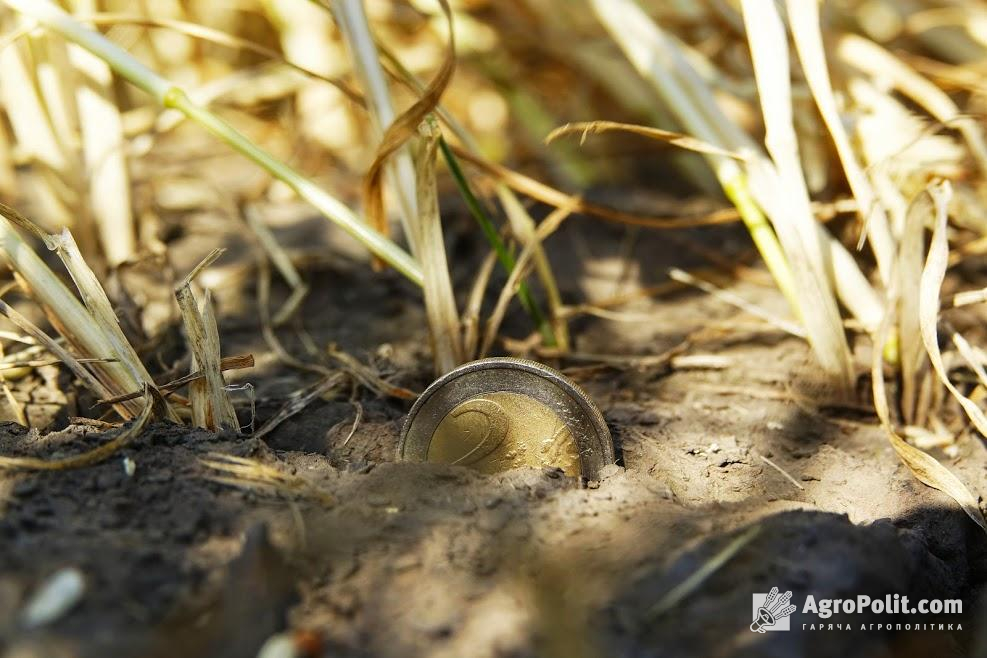 В Україні прогнозують появу «земельних сотників»: названо можливі сценарії