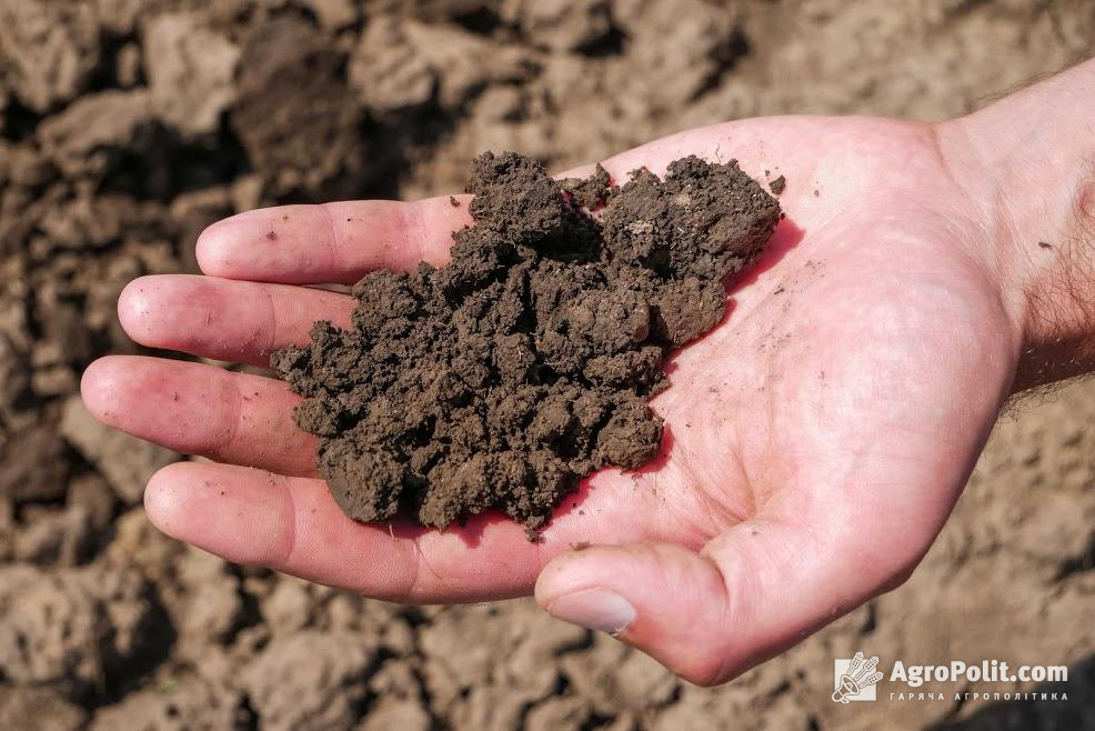 У Мін'юсті розповіли, чи збільшилася кількість випадків рейдерства після відкриття ринку землі