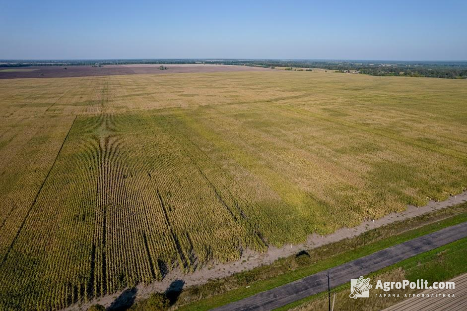 Названо ТОП-10 найдорожчих об’єктів купівлі-продажу землі