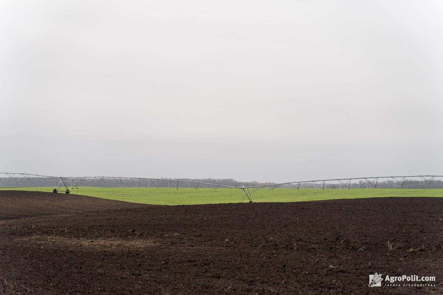 Названо землевласників, які не сплачуватимуть мінімальне податкове зобов’язання у 2022 році