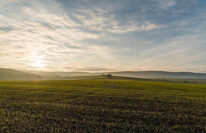 В Україна інвентаризовано 500 тис. га землі державної власності – Держгеокадарст 