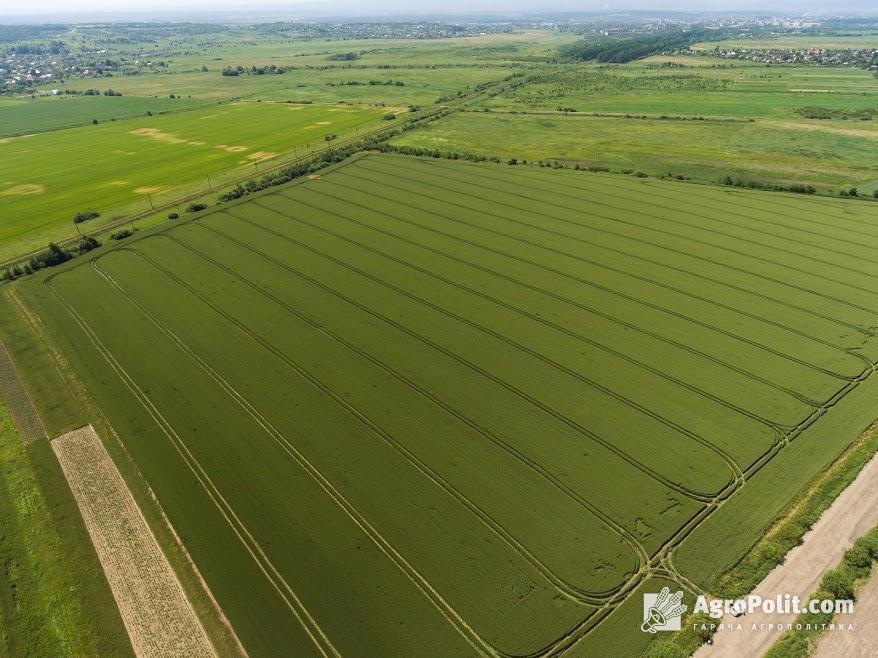 В Україні за 6 місяців 2021 року продали 28,3 тис. паїв загальною площею 103 тис. га