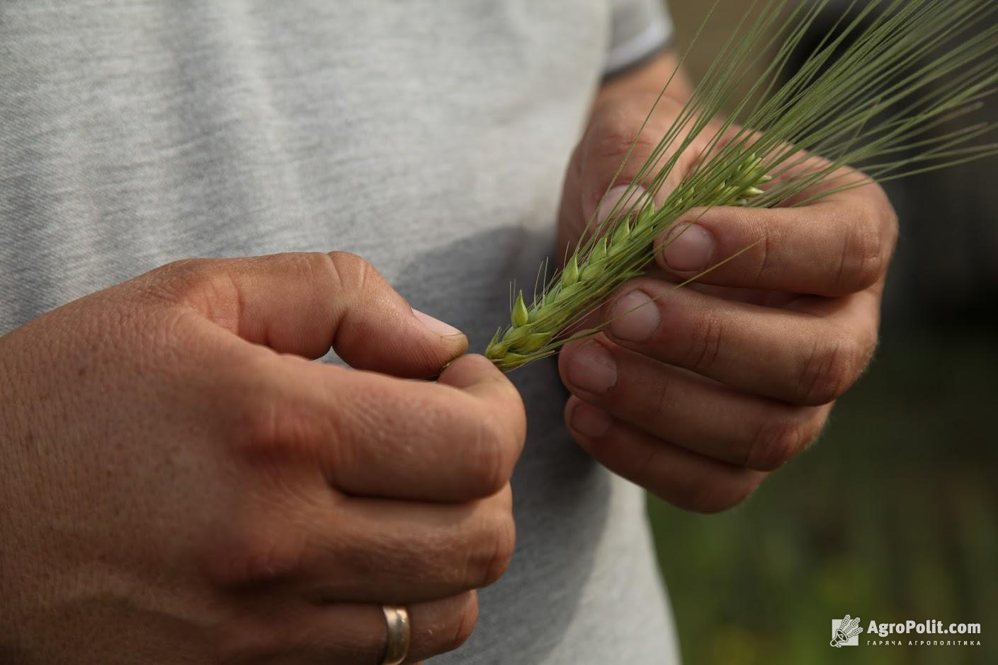 Більшість скасованих ЄС мит стосуються української аграрної продукції, — Мінекономіки