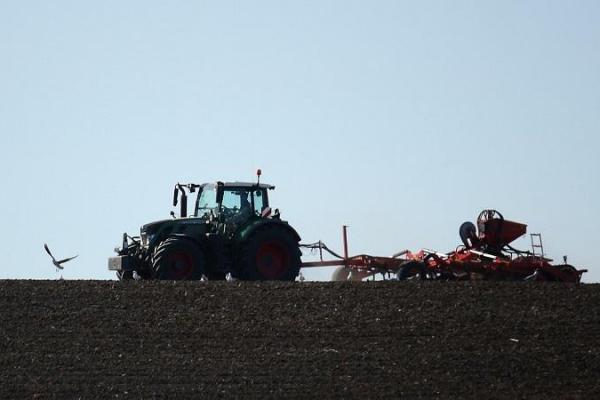 У Мінагрополітики прогнозують, що посівні площі восени скоротяться до 60%