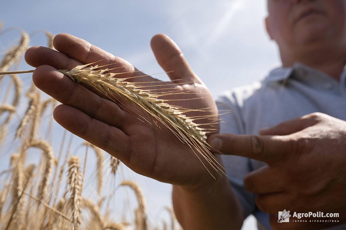 Кабмін схвалив порядок надання 1,5 млрд грн для підтримки малих агровиробників 