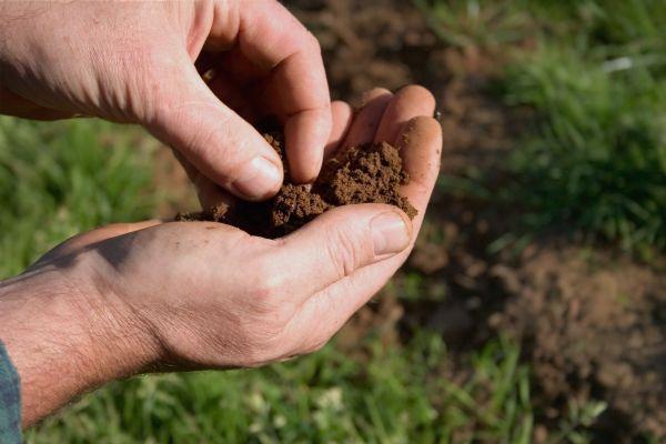 Депутати підтримали законопроєкт про спрощення купівлі невеликих ділянок землі