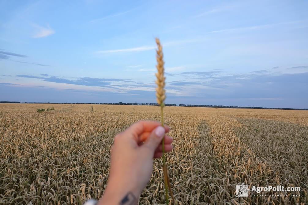 Зернову угоду з росією можуть продовжити в рамках саміту G 20 – джерело  