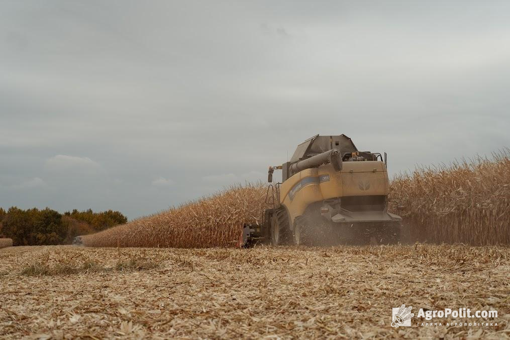 На ціну українських зернових тиснуть перехідні запаси