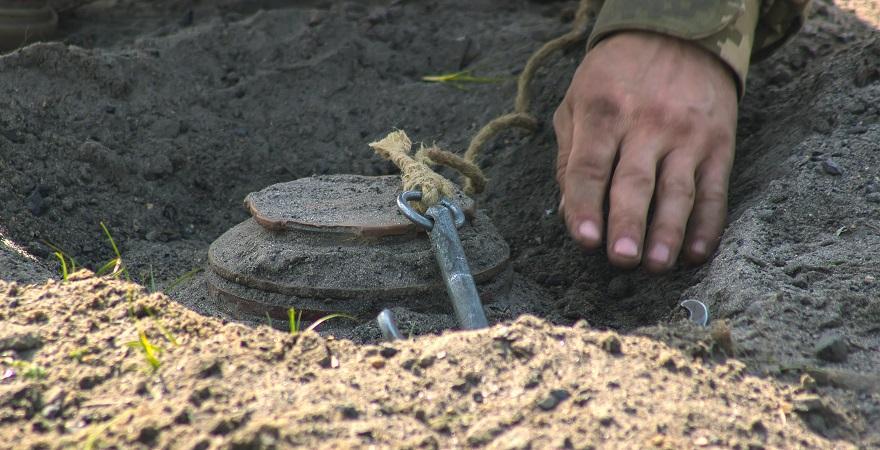 Розмінувати і засіяти планують до 60% земель