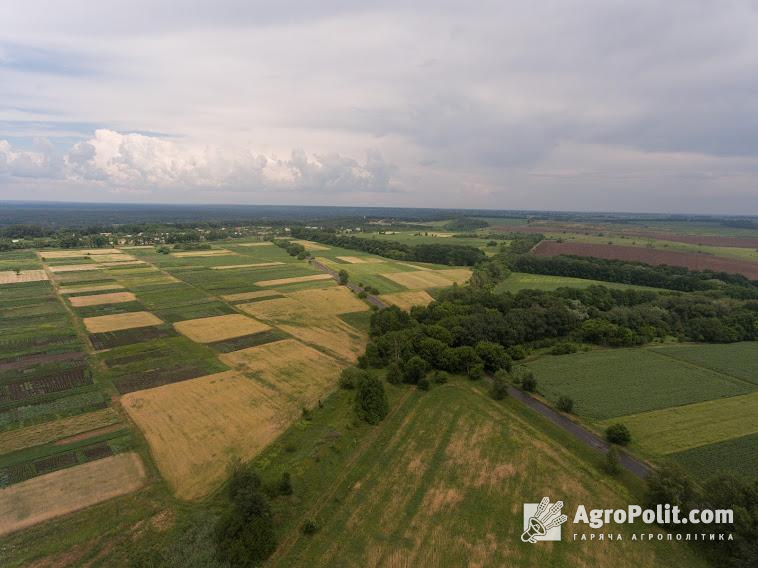 У Чернігівській області ціна га землі сягає більше 12 тис. грн