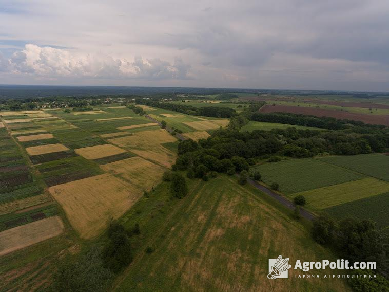 Яка середня ціна на ділянку землі встановилася в Україні під час війни: дослідження