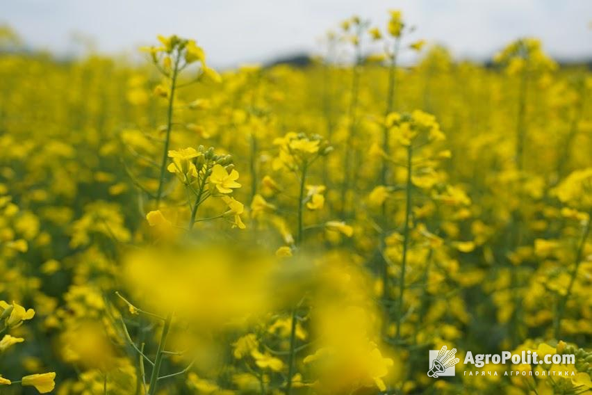 Зараз аграрії зіштовхнулися з викликами, які стали найбільш масштабними на звільнений територіях