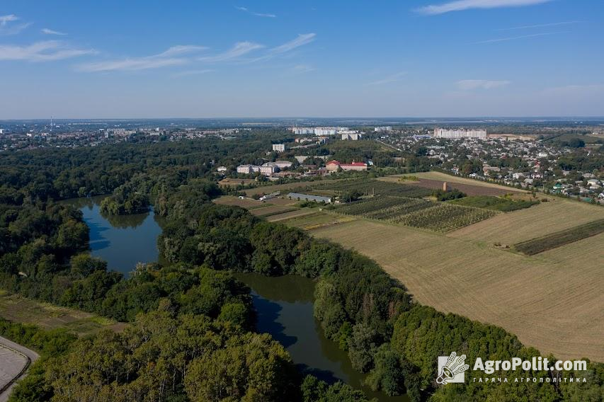 У Київській області садитимуть найбільше фундуку – 157,8 га