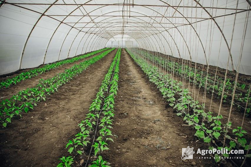 Грантові програми представлені у проєкті єРобота