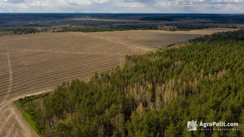 Зерновими та зернобобовими планується засіяти 5,5 млн га, що на 5% менше, ніж торік